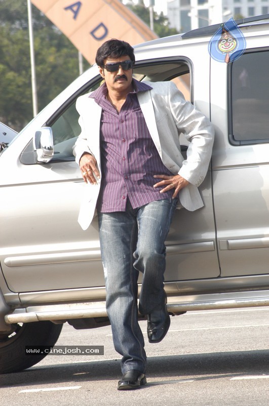 Balakrishna's Simha Movie Latest Gallery - 2 / 40 photos