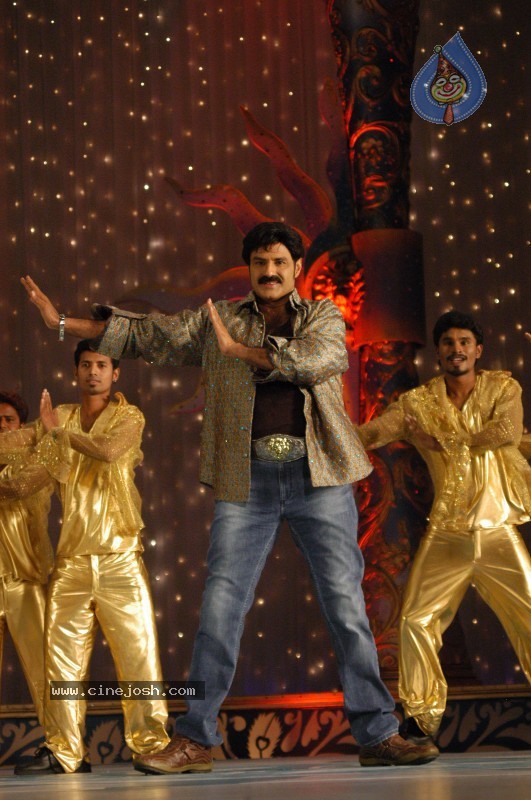 Balakrishna's Simha Movie Latest Gallery - 7 / 40 photos