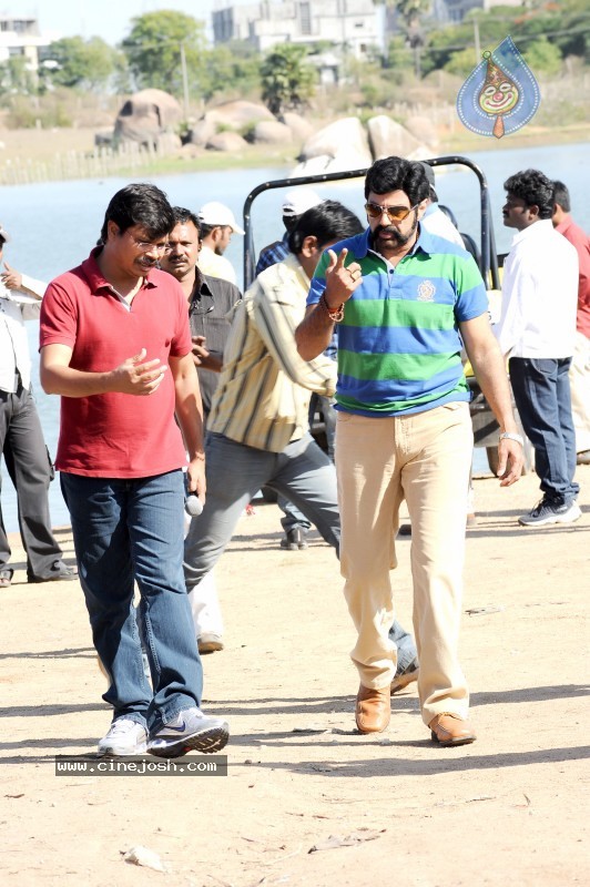 Balakrishna's Simha Movie Latest Gallery - 10 / 40 photos