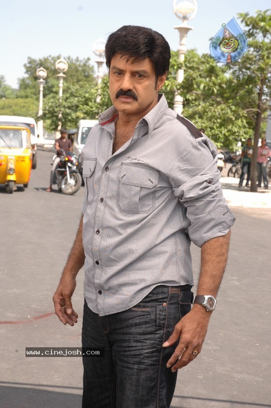Balakrishna's Simha Movie Latest Gallery - 38 / 40 photos