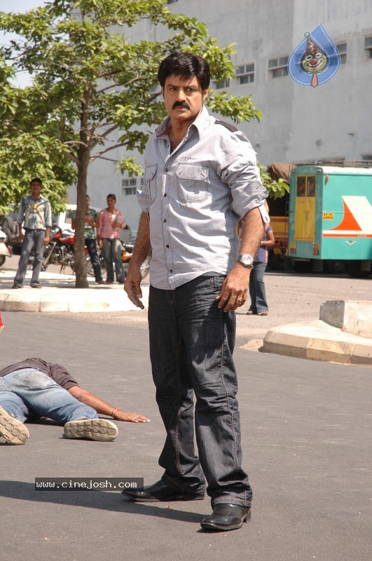 Balakrishna's Simha Movie Latest Gallery - 40 / 40 photos