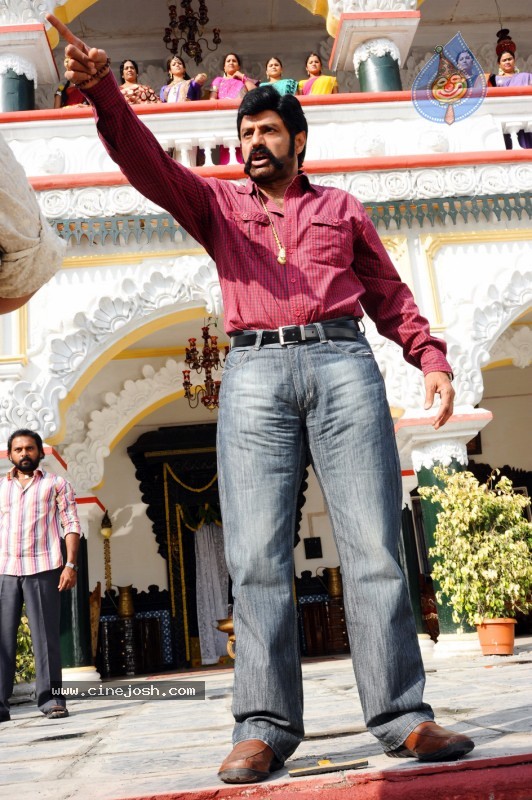 Balakrishna's Simha Movie New Stills - 9 / 9 photos
