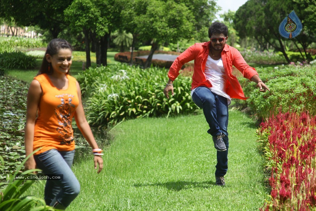Band Baaja Stills n Walls - 66 / 93 photos