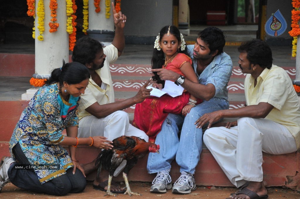 Bangaru Kodipetta Movie Stills - 14 / 28 photos