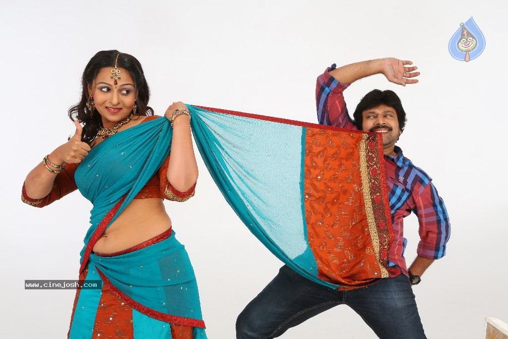Barishtar Shankar Narayan Stills - 78 / 124 photos