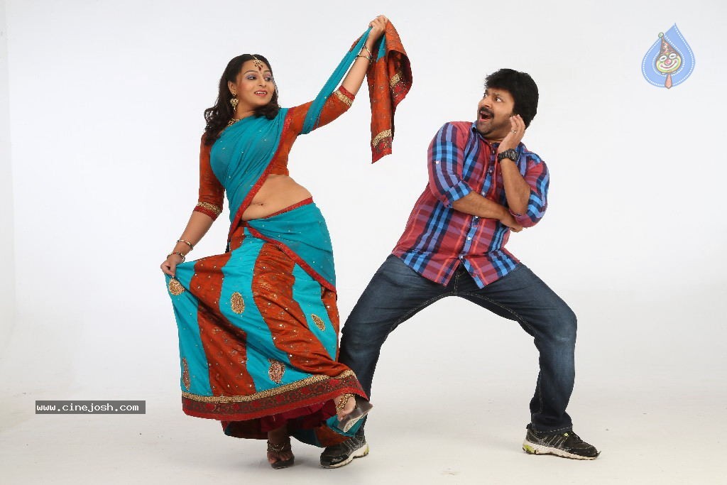 Barishtar Shankar Narayan Stills - 85 / 124 photos