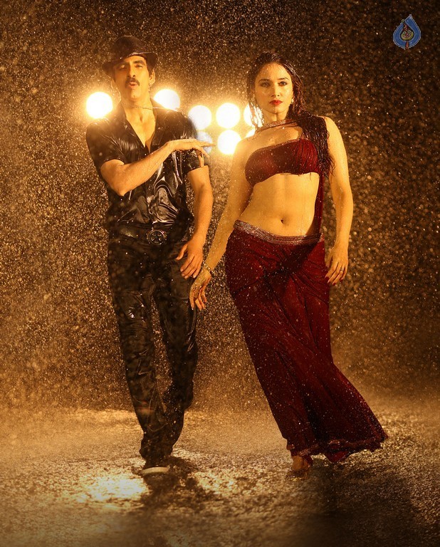 Bengal Tiger Film Photos - 1 / 2 photos