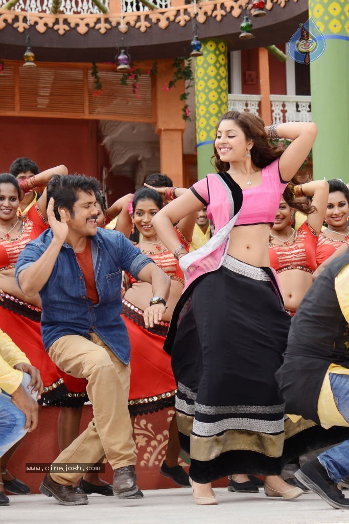 Bhai Movie Latest Stills - 19 / 36 photos