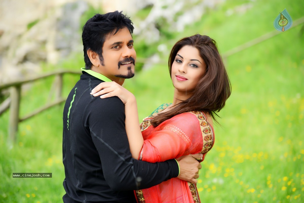 Bhai Movie Stills n Walls - 32 / 43 photos