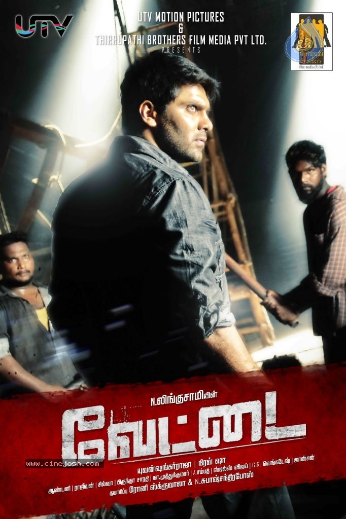 Bhale Thammudu Movie Posters  - 1 / 12 photos