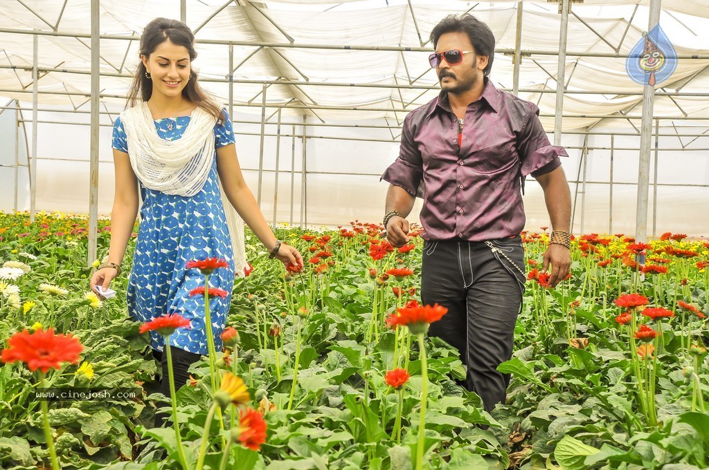 Billa Ranga Movie Stills n Posters - 25 / 49 photos