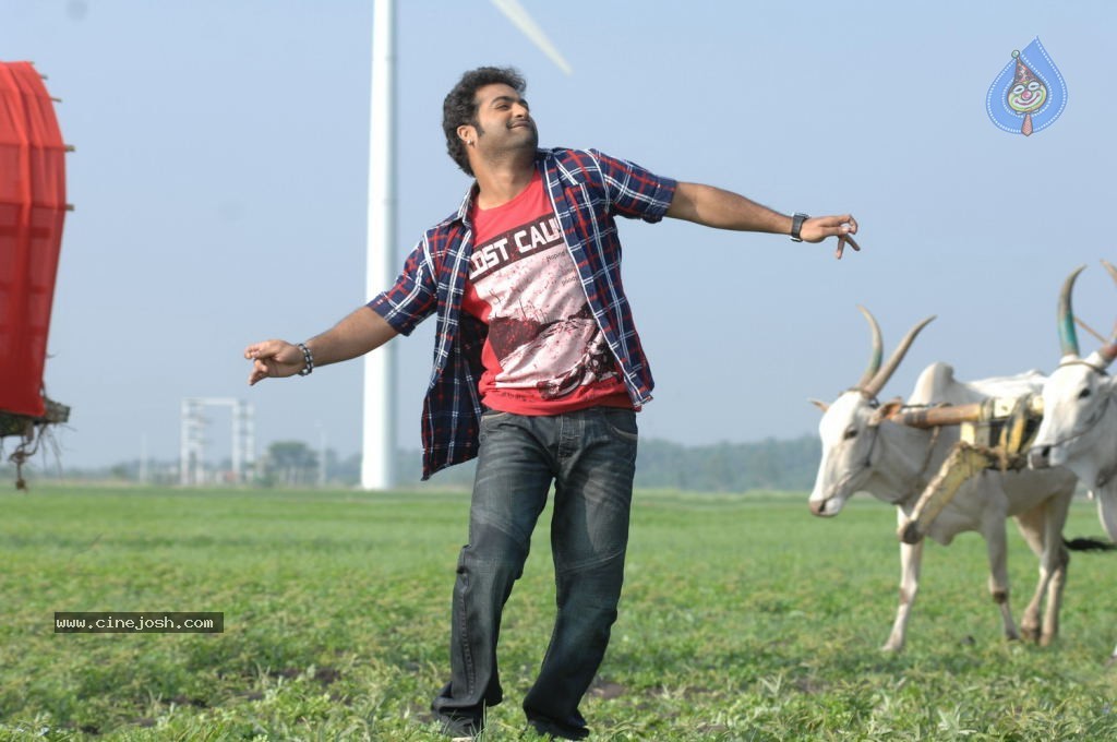 Brindavanam Movie New Photo Gallery - 14 / 15 photos