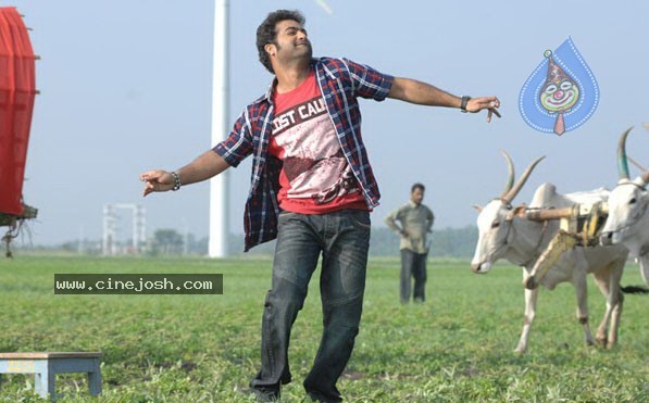 Brindavanam Movie New Stills - 21 / 21 photos