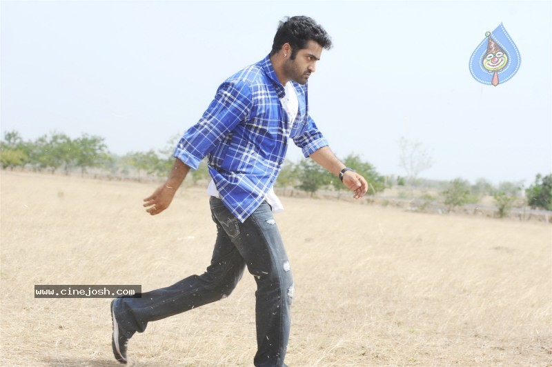 Brindavanam Movie Stills - 11 / 28 photos