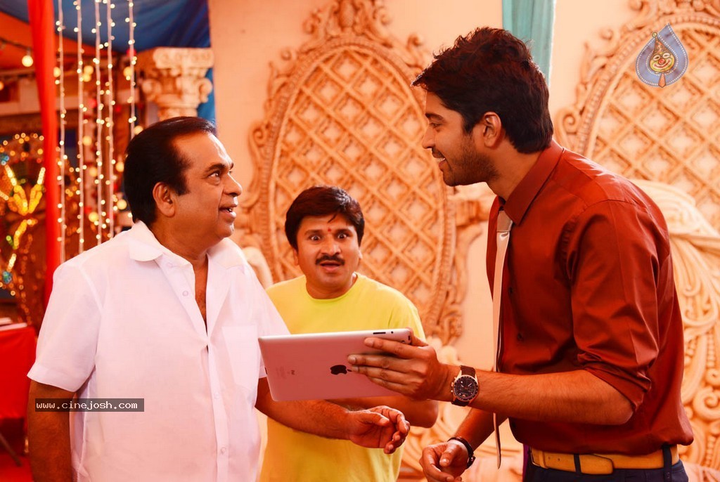 Brother of Bommali Movie New Pics - 11 / 22 photos