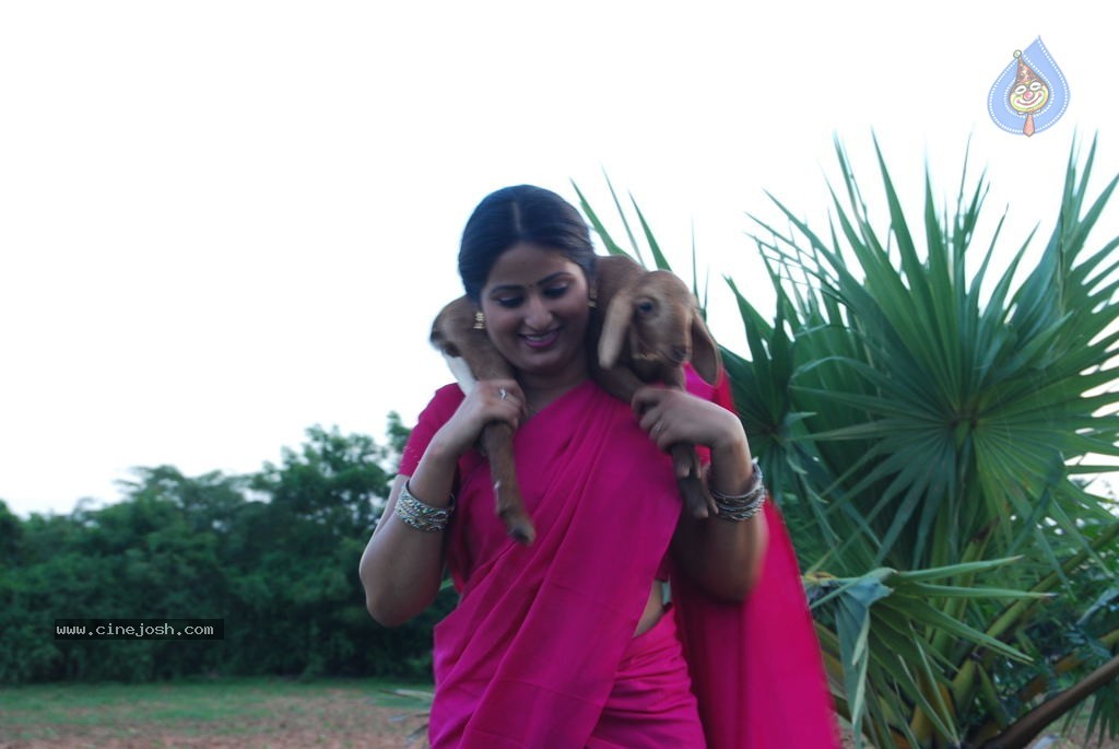 Chakali Ilamma Movie Stills - 26 / 26 photos