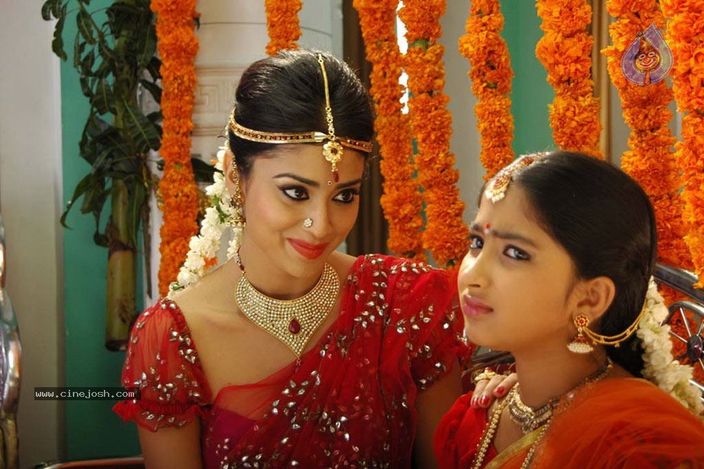 Chandra Movie New Stills - 24 / 29 photos