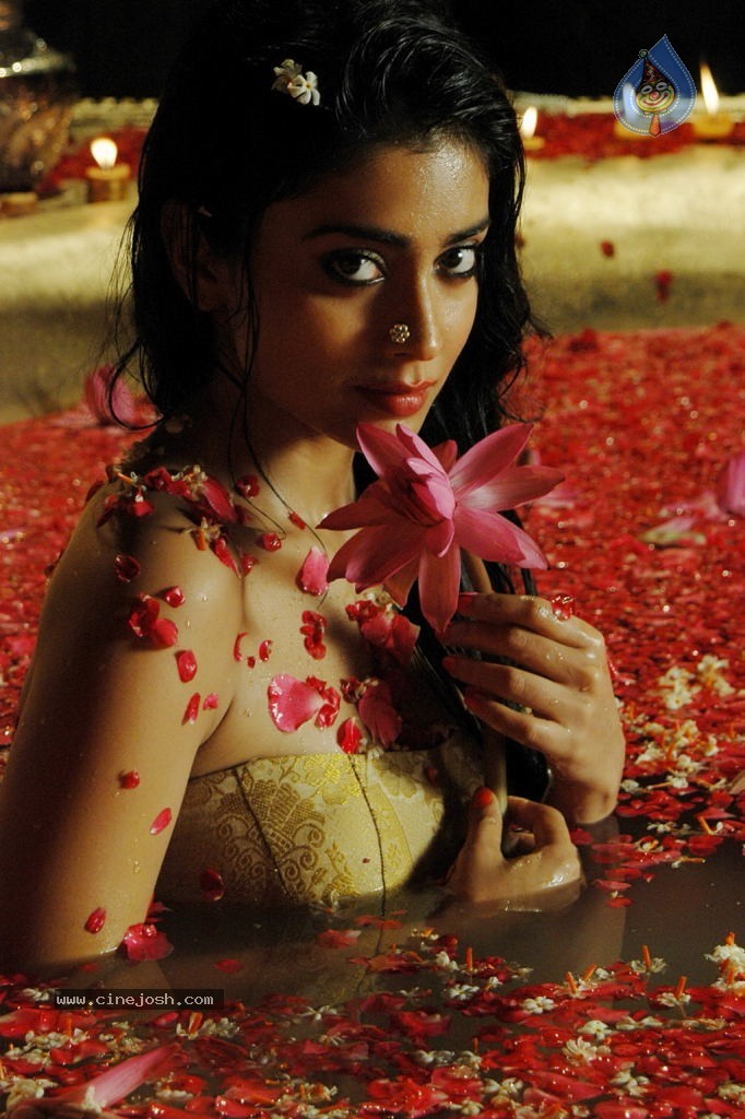 Chandra Tamil Movie Hot Stills - 25 / 39 photos