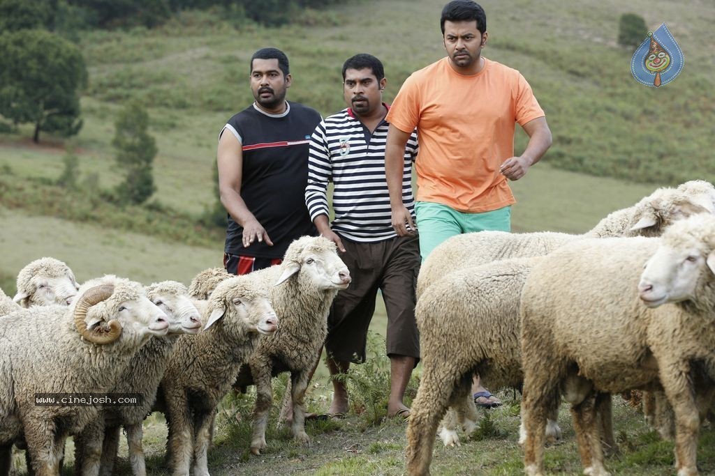 Cousins Movie New Photos - 21 / 34 photos
