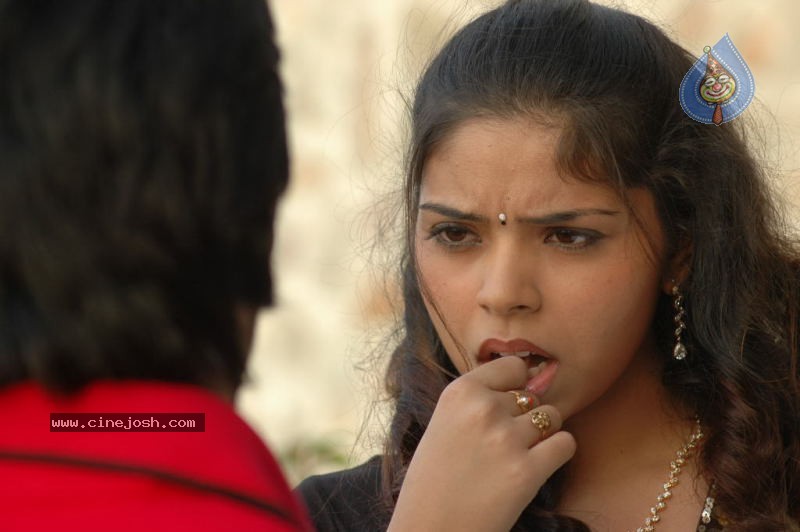 Cricket Girls and Beer Movie Gallery - 2 / 102 photos