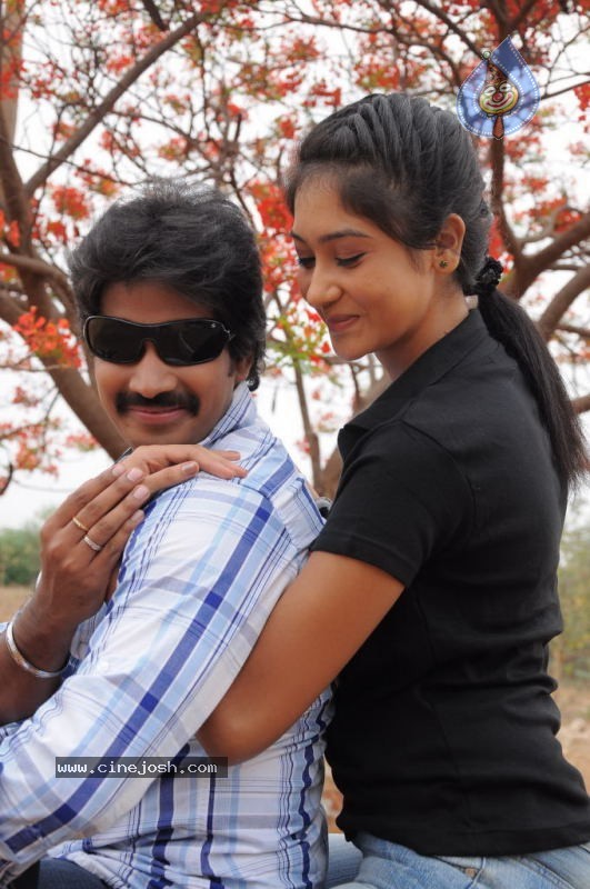 Cricket Girls and Beer Movie Gallery - 33 / 102 photos