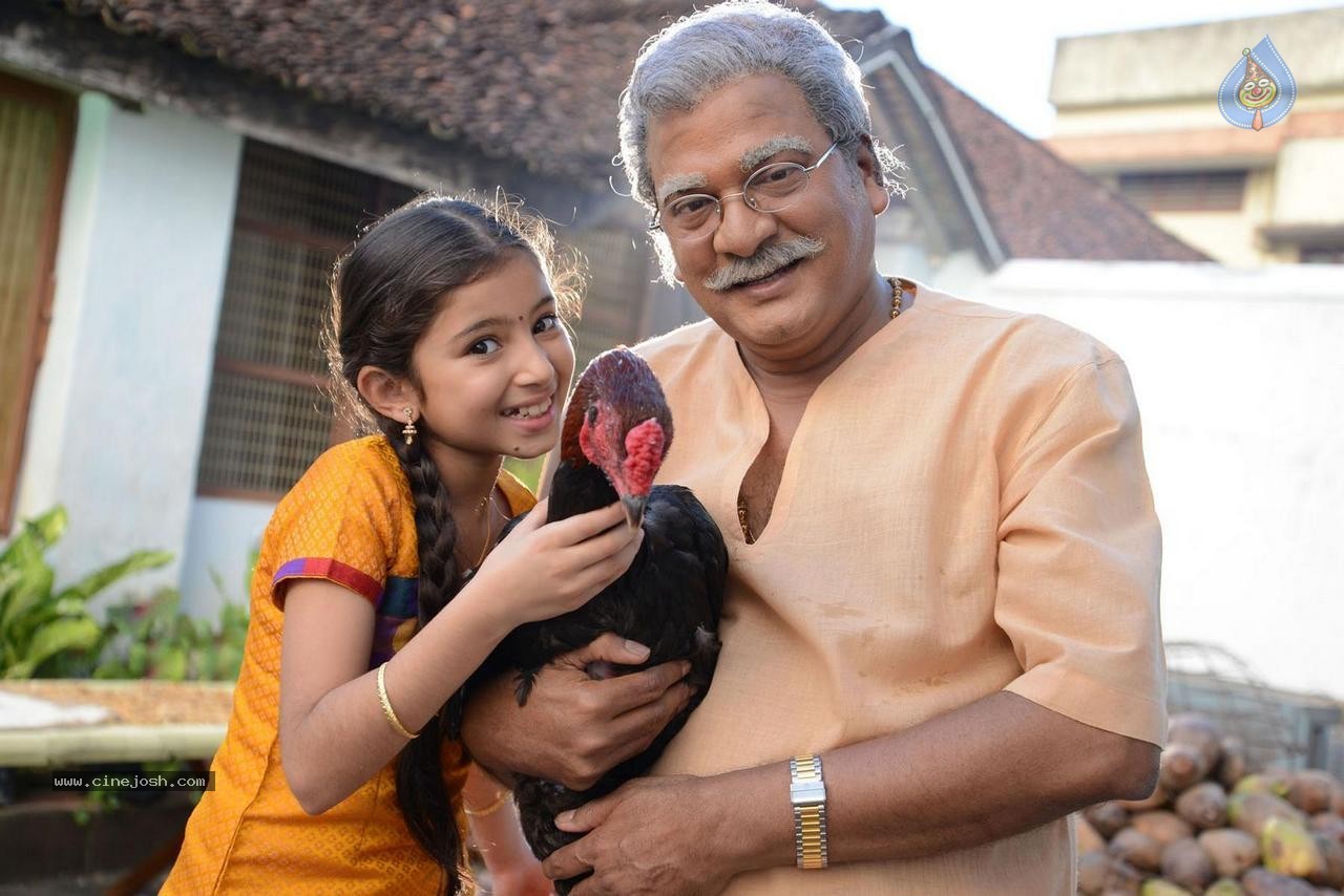 Dagudumutha Dandakor Movie New Photos - 48 / 53 photos