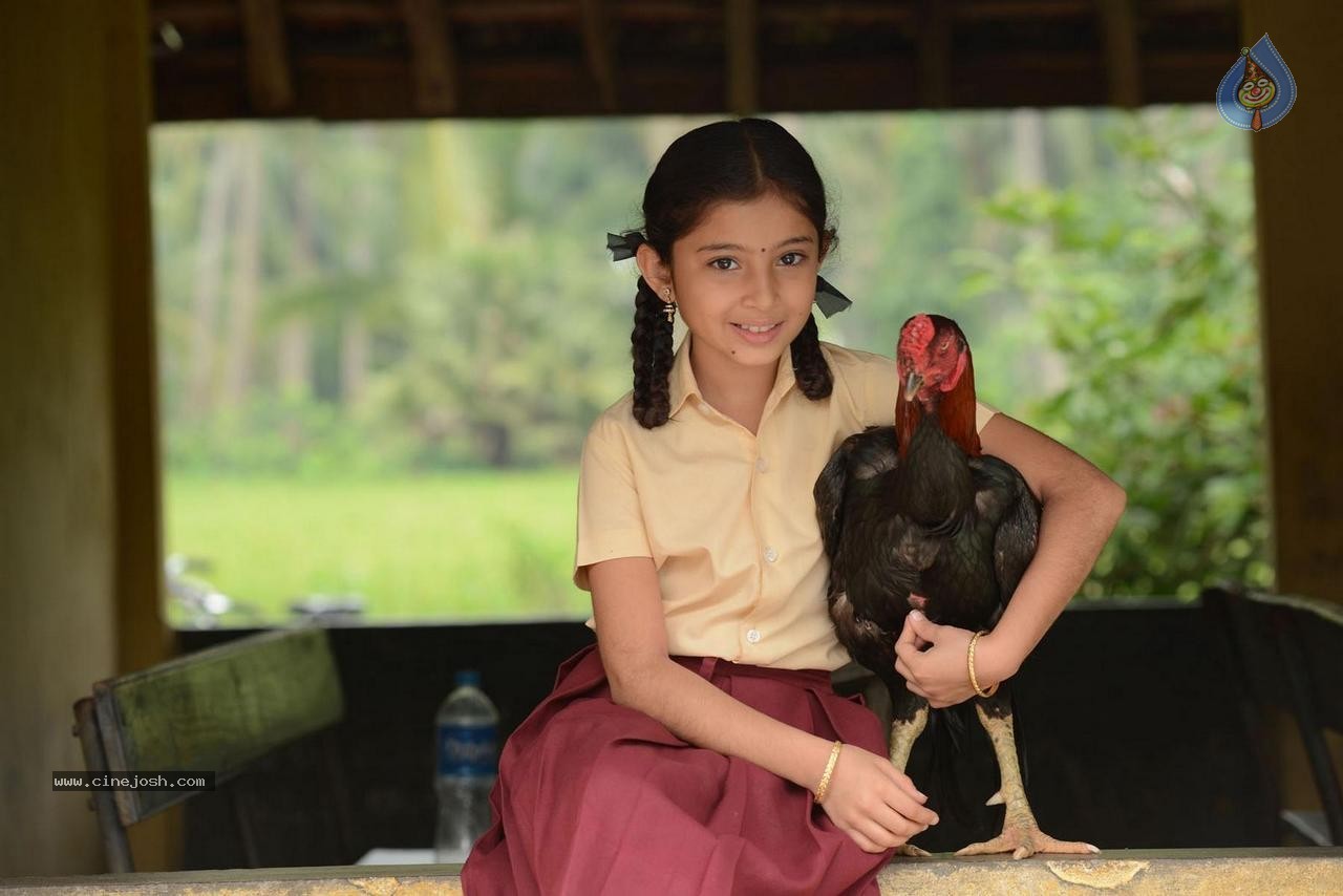 Dagudumutha Dandakor Movie New Photos - 49 / 53 photos