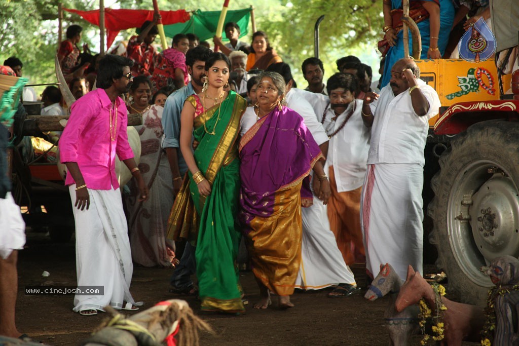Desingu Raja Tamil Movie Gallery - 31 / 50 photos