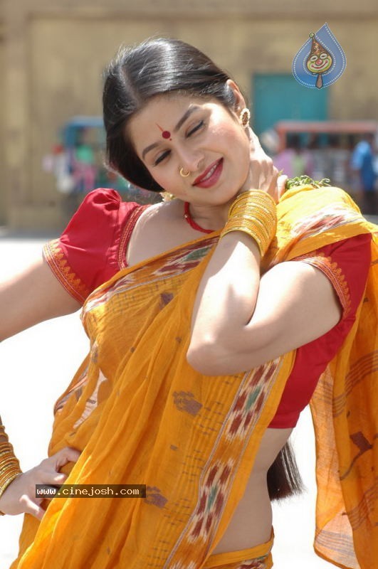 Dhanam Movie Stills - 13 / 33 photos