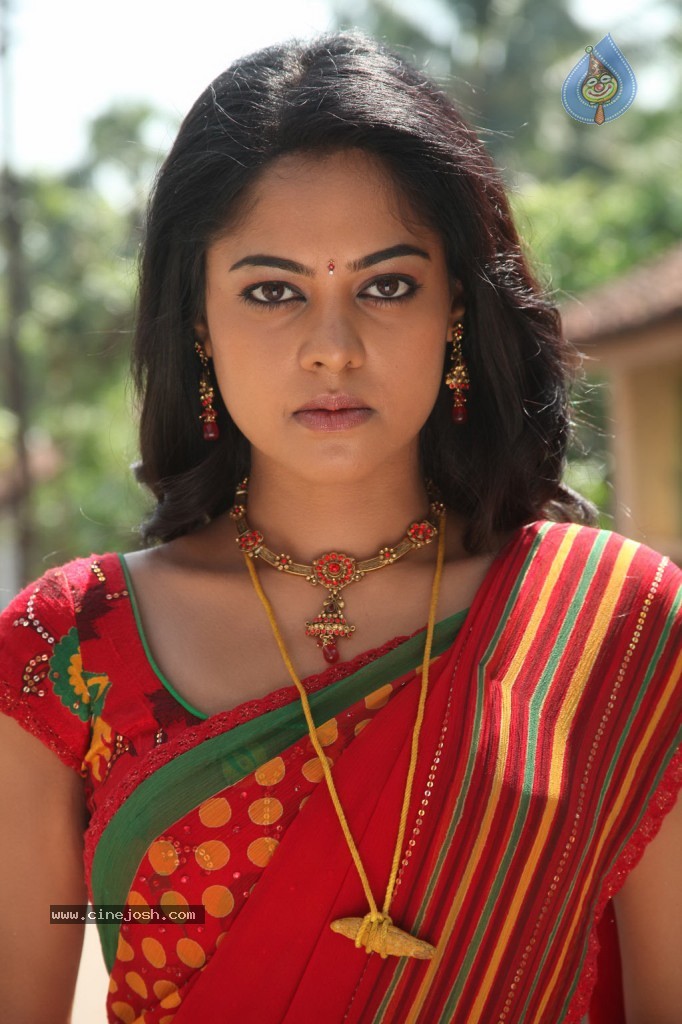 Dhesingu Raja Tamil Movie Photos - 31 / 101 photos