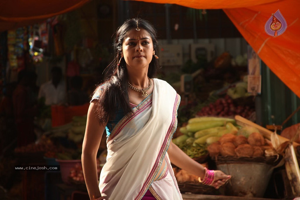 Dhesingu Raja Tamil Movie Photos - 34 / 101 photos