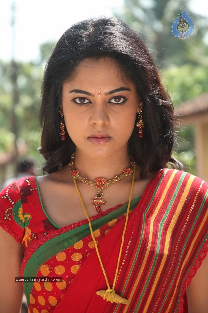 Dhesingu Raja Tamil Movie Photos - 60 / 101 photos