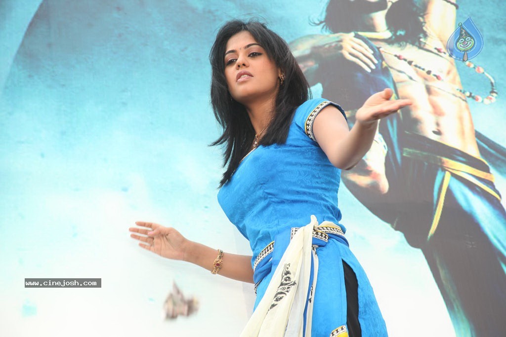 Dhesingu Raja Tamil Movie Photos - 95 / 101 photos