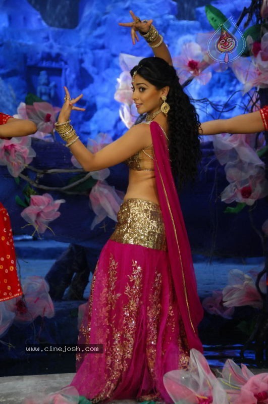 Don Seenu Movie New Stills - 42 / 42 photos