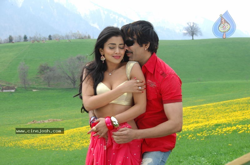 Don Seenu Movie Stills - 19 / 74 photos