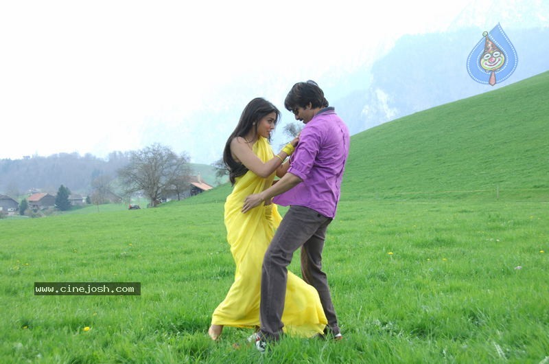 Don Seenu Movie Stills - 72 / 74 photos