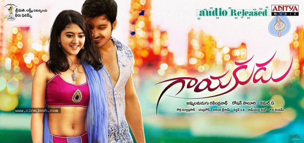 Gayakudu Movie Stills n Posters - 18 / 22 photos