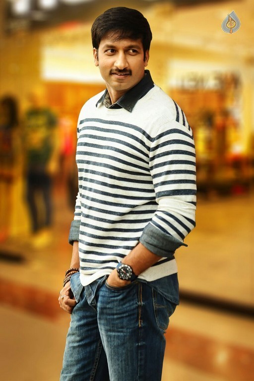 Gopichand - Sampath Nandi Movie Photos - 6 / 6 photos