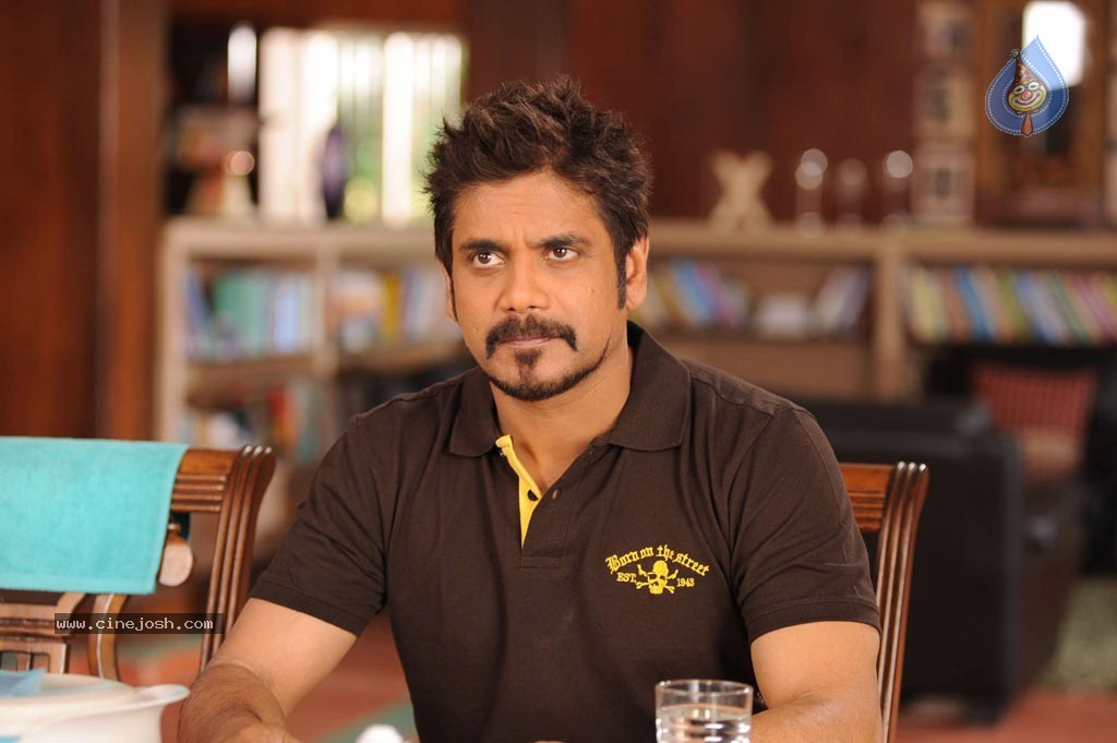 Greeku Veerudu Movie New Stills - 10 / 59 photos