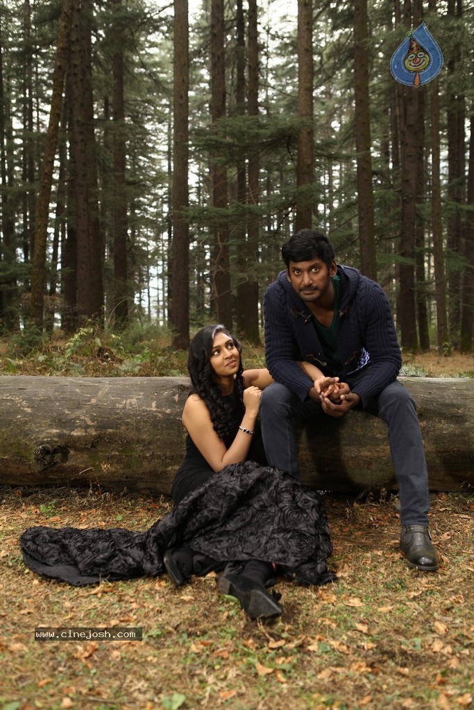 Indrudu Movie New Stills - 85 / 95 photos