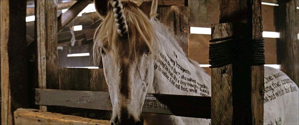 Inkheart Movie Stills - 16 / 17 photos