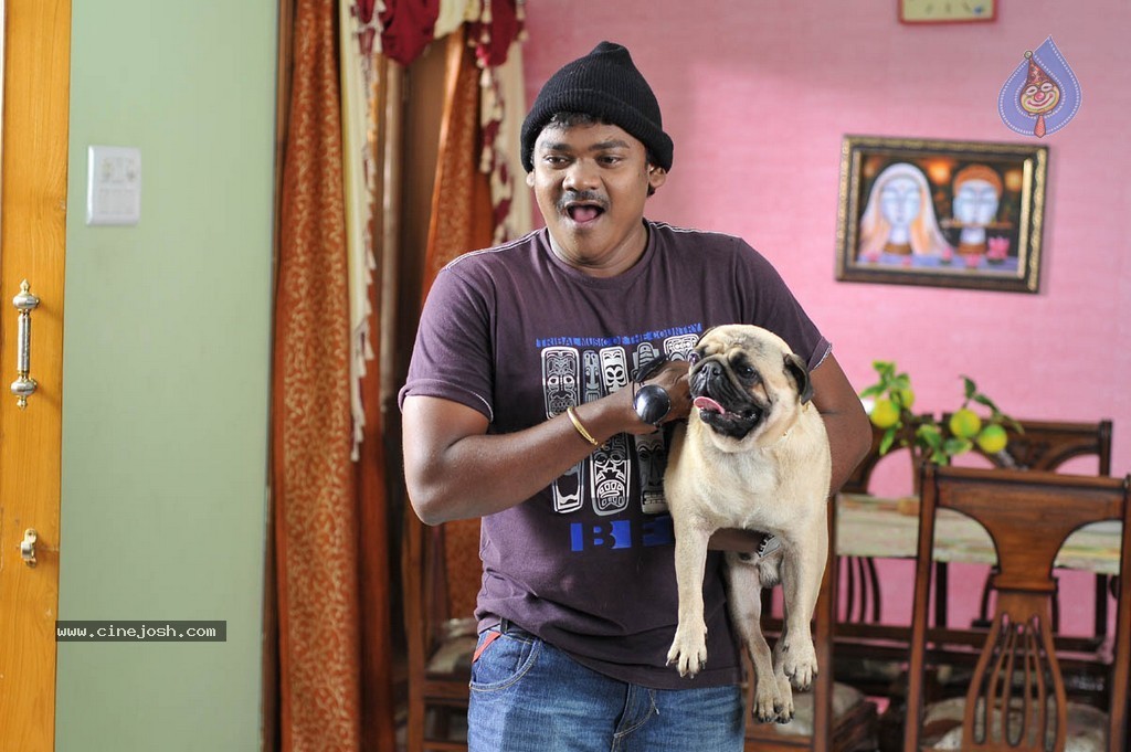 Intelligent Idiots Movie Stills n Walls - 58 / 73 photos