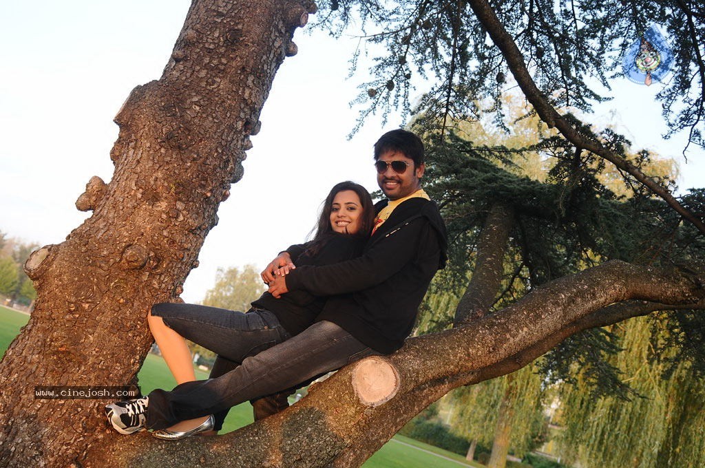 Ishtam Tamil Movie Hot Stills - 9 / 84 photos