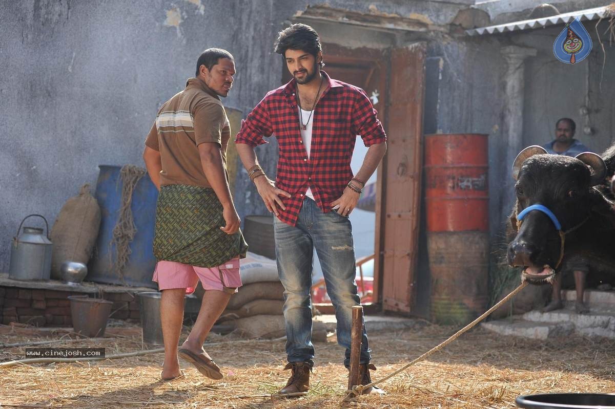 Jadoogadu Movie Stills n Walls - 1 / 51 photos