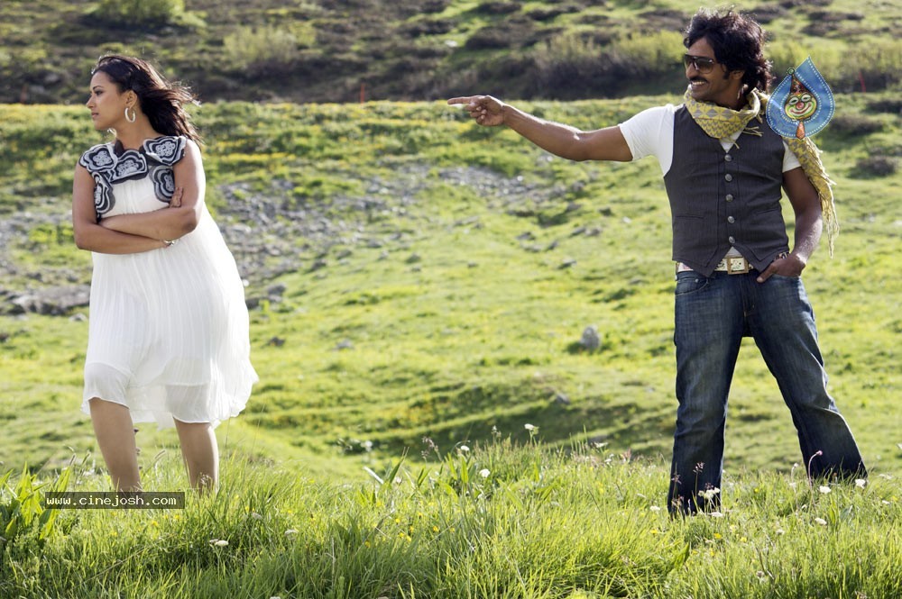 Kasko Movie - Vaibhav,Swetha Basu Stills - 18 / 59 photos
