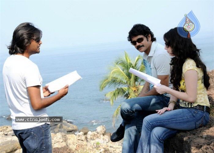 Kedi Working Stills - 2 / 18 photos