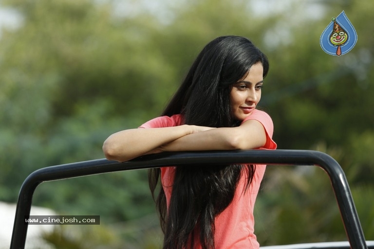 Kombu Tamil Movie Stills - 3 / 6 photos