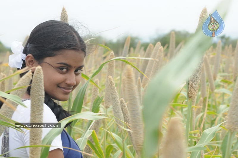 Konjam Veyil Konjam Mazhai Tamil Movie Stills - 11 / 72 photos