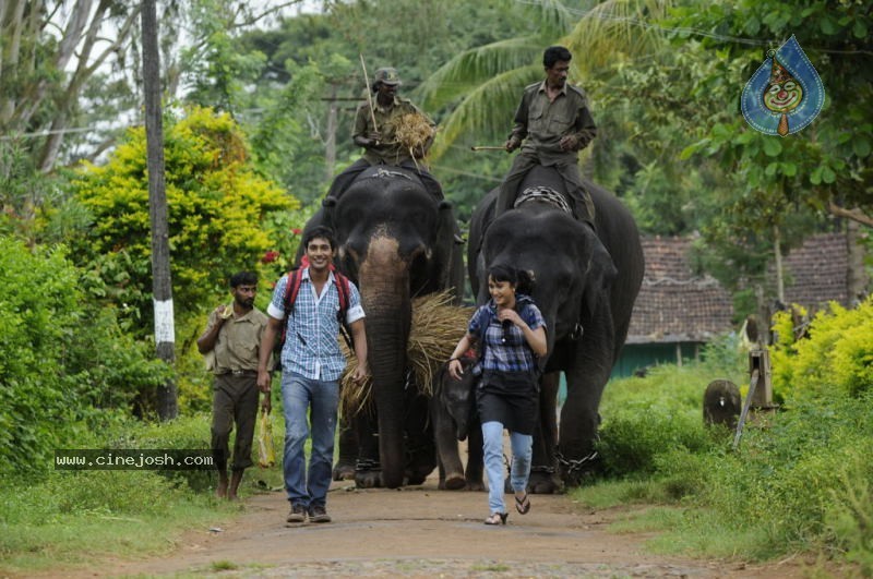 Kudirithe Kappu Coffee Movie Stills - 3 / 14 photos