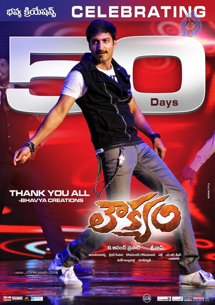 Loukyam Movie 50 Days Walls - 2 / 5 photos